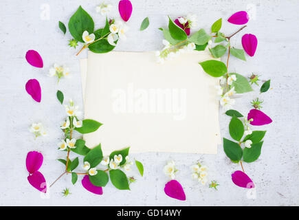 Kosmos rosa Blumen Stockfoto