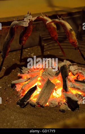 Vier Fische auf Stöcken gegrillt am Irori (japanische irdenen Kamin). Stockfoto