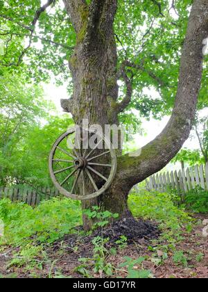 Eine rustikale Wagenrad an einem Baum hängen. Üppiger grüner Vegetation. Stockfoto