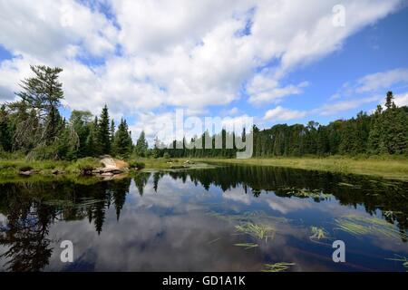 Reflexionen von Wolken auf einem Wildnis-Fluss Stockfoto