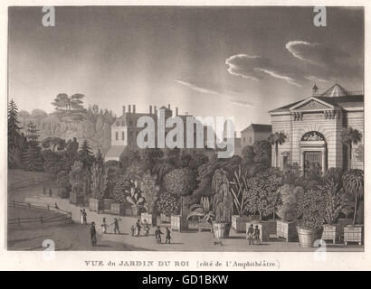 PARIS: Jardin du Roi, Côté de ich ' Amphithéâtre. Jardin des Plantes. Aquatinta, 1808 Stockfoto