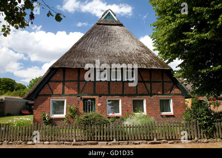 Strohdach Haus, Bad Malente-Gremsmuehlen, Holstein Naturpark der Schweiz, Schleswig-Holstein Stockfoto