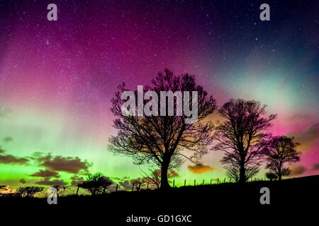 Ein starker Sonnensturm schafft ein helles Display der Northern Lights an Beadnell in Northumberland. Stockfoto