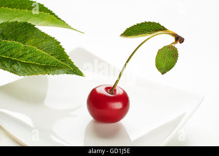 Frische rote Kirschen mit Blatt auf einem weißen Hintergrund hautnah Stockfoto