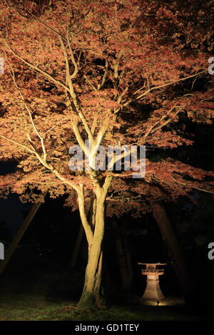 Kenrokuen japanische Garten in Kanazawa, Japan. Stockfoto