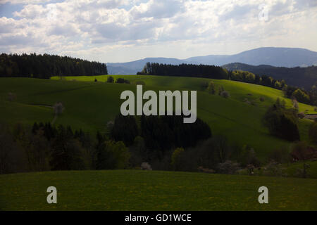 Rustikalen Bauernhöfen, Wäldern und sanften Hügeln und Tälern machen für eine Auge wohltuende Tour durch den Schwarzwald, Südwestdeutschland Stockfoto