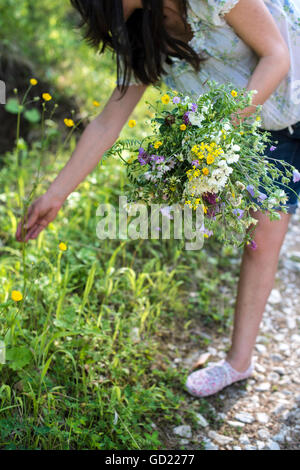 Frau sammelt Blumen im Wald Stockfoto