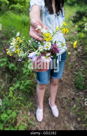 Frau sammelt Blumen im Wald Stockfoto