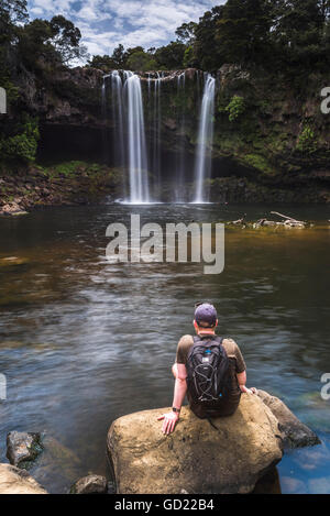 Rainbow Falls, einem Wasserfall in Kerikeri in der Bay of Islands Region Northland, North Island, Neuseeland, Pazifik Stockfoto