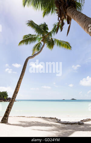 Paradies-Strandblick, Anse Volbert auf Praslin Island, Seychellen Stockfoto