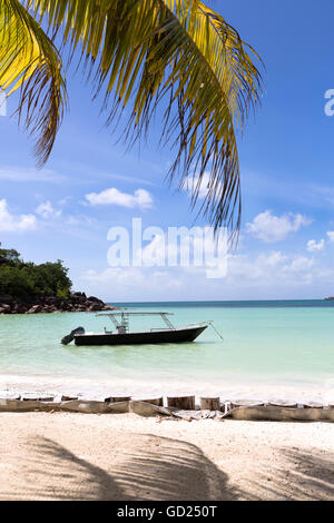 Tropischen Strandblick, Anse Volbert auf Praslin Island, Seychellen Stockfoto