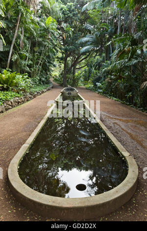 Drei Pools-Zimmer im Allerton Garten, Teil der National Botanical Garden in der Nähe von Poipu; Kauai, Hawaii, Vereinigte Staaten von Amerika Stockfoto