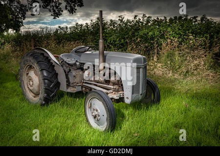 Vintage Ferguson-Traktor Stockfoto