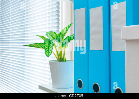 Regal mit Ordnern in der Nähe der Fenster im Büro Nahaufnahme Stockfoto