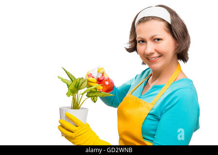 Hausfrau, die Fürsorge für Blume in einem Topf auf einem weißen Hintergrund Stockfoto