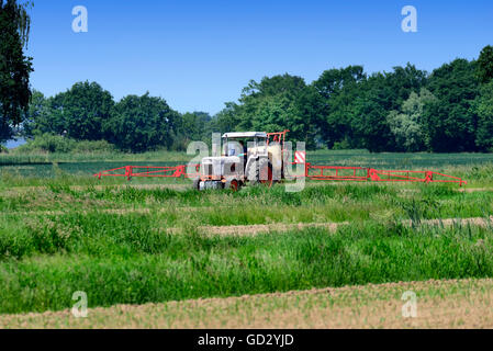 Sprühen von Pestiziden auf ein Feld Traktor Stockfoto