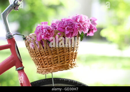 Oldtimer Fahrrad mit Korb mit Pfingstrose Blumen im Frühlingspark Stockfoto