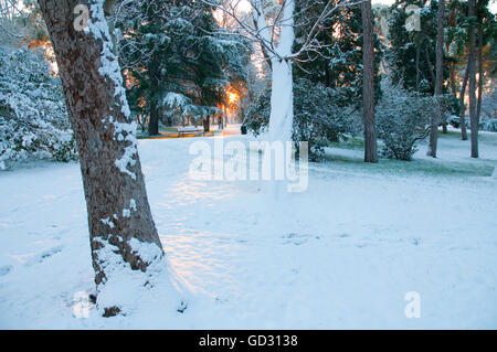 Schneebedeckte Retiro-Park. Madrid, Spanien. Stockfoto