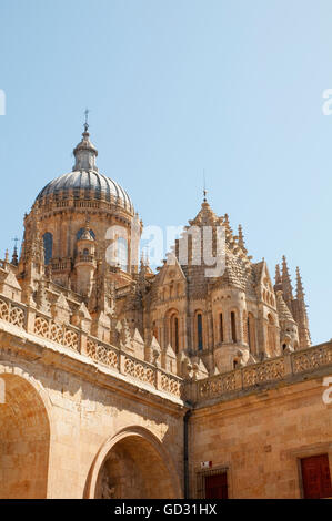 Kuppeln der Kathedrale. Salamanca, Spanien. Stockfoto