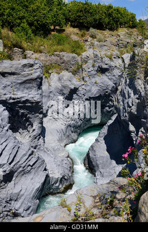 Alcantara-Schlucht (Gole Alcantara), Sizilien, Italien Stockfoto