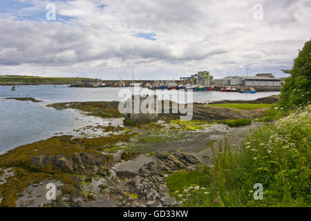 Angelboote/Fischerboote Hafen Stockfoto