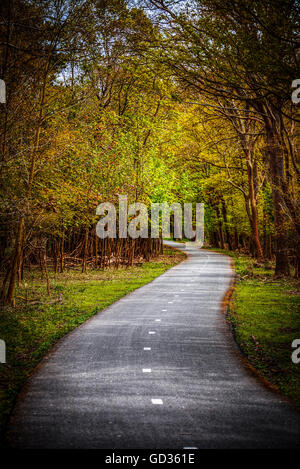 In den Niederlanden mit dem Fahrrad Weg durch den Wald im Herbst im Nationalpark "De Hoge Veluwe". Stockfoto