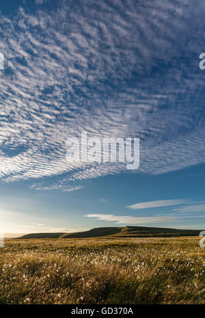 Großen Sommerhimmel über Mauren von Nordengland. Ansicht von Regal Moor am Bleaklow, Derbyshire. Stockfoto