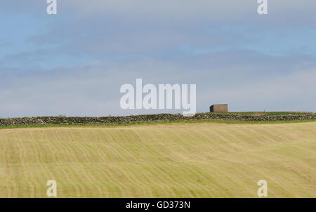 Eine neu gemähtem Heu-Feld durch eine Steinmauer begrenzt. Islay, Inneren Hebriden, Argyll, Schottland. Stockfoto