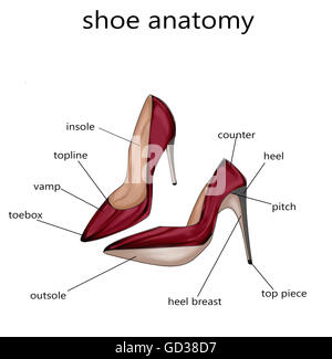 Technische Mode-Illustration der Schuhteile Stockfoto