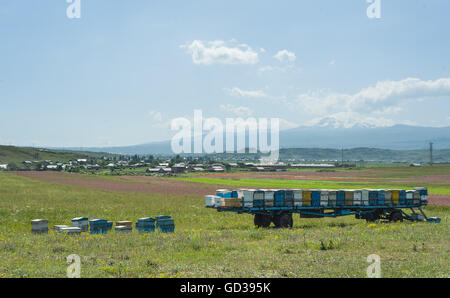 Alten Bienenstöcke auf einem Wagen, Armenien. Stockfoto