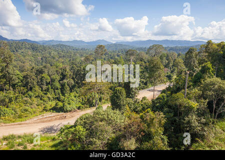 Blick über Maliau geschützten Regenwald vom Aussichtsturm, Borneo, Sabah, Malaysia Stockfoto