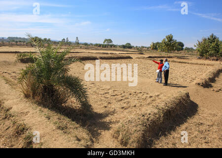 Mann zeigt seine trockenen Felder, Bastar, Chhattisgarh, Indien, Asien Stockfoto