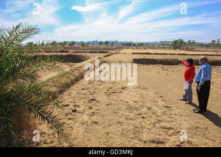 Mann zeigt seine trockenen Felder, Bastar, Chhattisgarh, Indien, Asien Stockfoto