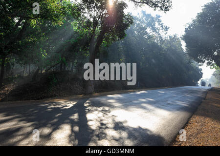 Nationalstraße, Bastar, Chhattisgarh, Indien, Asien Stockfoto