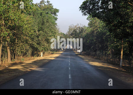 Nationalstraße, Bastar, Chhattisgarh, Indien, Asien Stockfoto