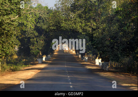 Nationalstraße, Bastar, Chhattisgarh, Indien, Asien Stockfoto