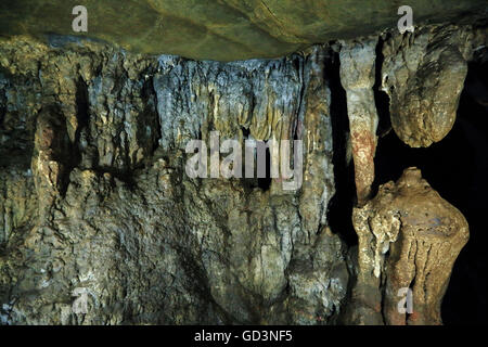 Kutumsar Höhle, Bastar, Chhattisgarh, Indien, Asien Stockfoto