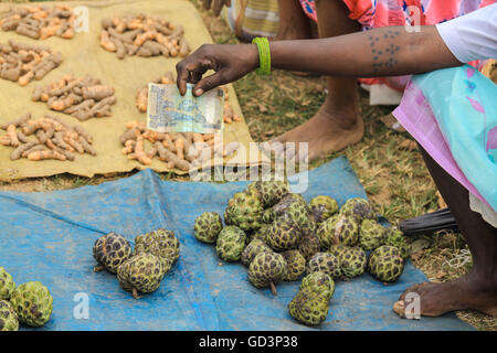 Indianerin, Haat Basar, Bastar, Chhattisgarh, Indien, Asien Stockfoto