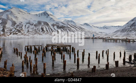 Hölzerne Pfähle im Siglufjordur Hafen, Nordisland Stockfoto