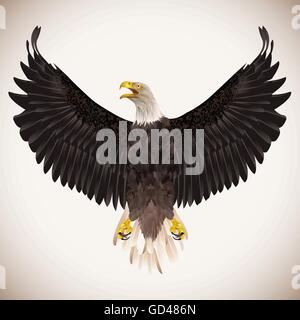 Adler auf weißem Hintergrund. Vector Illustration Stock Vektor
