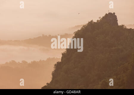 Schöner Morgen mit Nebel zwischen den Hügeln am Doi Pha Chu in Si Nan National Park, hohen Berg in der Provinz Nan, Thailand Stockfoto