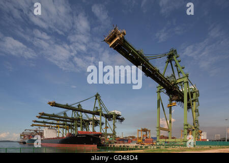 Gesamte View-Containerkräne in Reihe und die Schiffe in Betrieb an einem der Hafenterminals. Singapur. Stockfoto