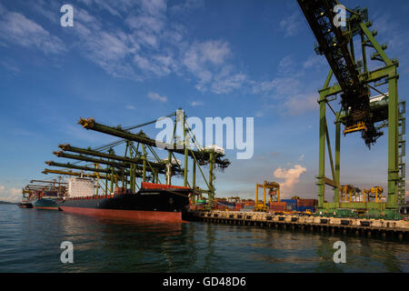 Reihen von Containerkränen und Schiffen, die an einem der Hafenterminals in Betrieb sind. Singapur. Stockfoto