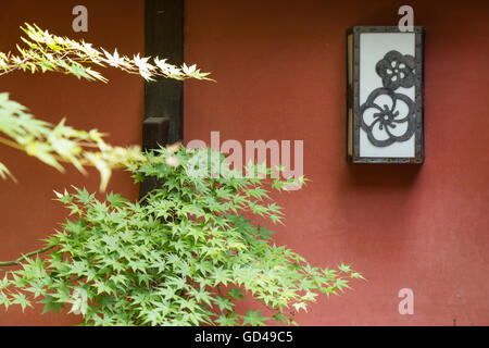 Sehen Sie auf einen schwarzen und weißen Laterne mit einem Blumenmuster auf eine weinrote Wand mit grünen japanischen Ahorn-Blätter in der Front. Stockfoto