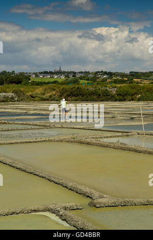 Bretonische Salzwiesen mit Salzgärten Schaben Meersalz aus den Lagunen in Saille in der Nähe von Guerande, La Baule, Bretagne, Frankreich Stockfoto