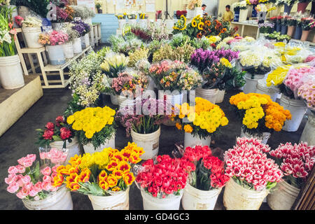 Saisonale Schnittblumen sind zum Verkauf angeboten worden, seit den frühen 1900er Jahren verschiedentlich Los Angeles Blumenmarkt, LA Blume Mart oder Los Angeles Flower District in der Innenstadt von Los Angeles, Kalifornien, USA bezeichnet wird. An der Wall Street zwischen 7. und 8. Straßen gelegen, es ist das größte Großhandel Blume-Bezirk in den Vereinigten Staaten geworden macht aber auch Einzelhandelsumsätze für die Öffentlichkeit. Einander zugewandt auf gegenüberliegenden Seiten der Wall Street sind die beiden wichtigsten Großhandel Gruppen, der ursprünglichen Los Angeles Blumenmarkt und dem südlichen Kalifornien Blumenmarkt. Stockfoto