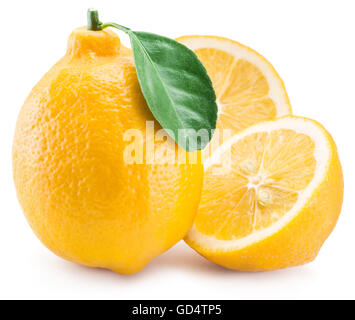 Reifen Zitrusfrüchten auf dem weißen Hintergrund. Stockfoto