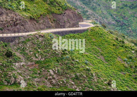 Highland Serpentine in Macizo de Teno-Gebirge, Teneriffa, Spanien Stockfoto