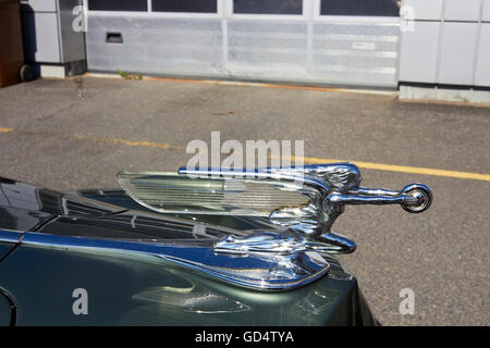 1939 Packard sechs hood ornament Stockfoto