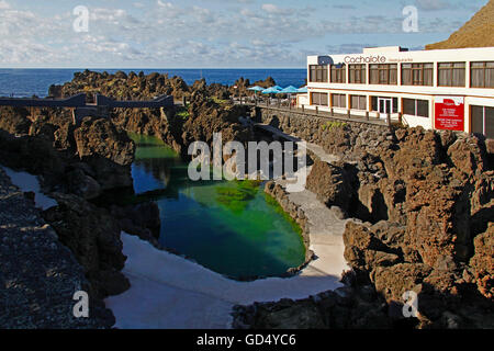 Lavabecken, Meeresaquarium, felsigen Küste, Atlantik, Porto Moniz, Insel Madeira, Portugal Stockfoto